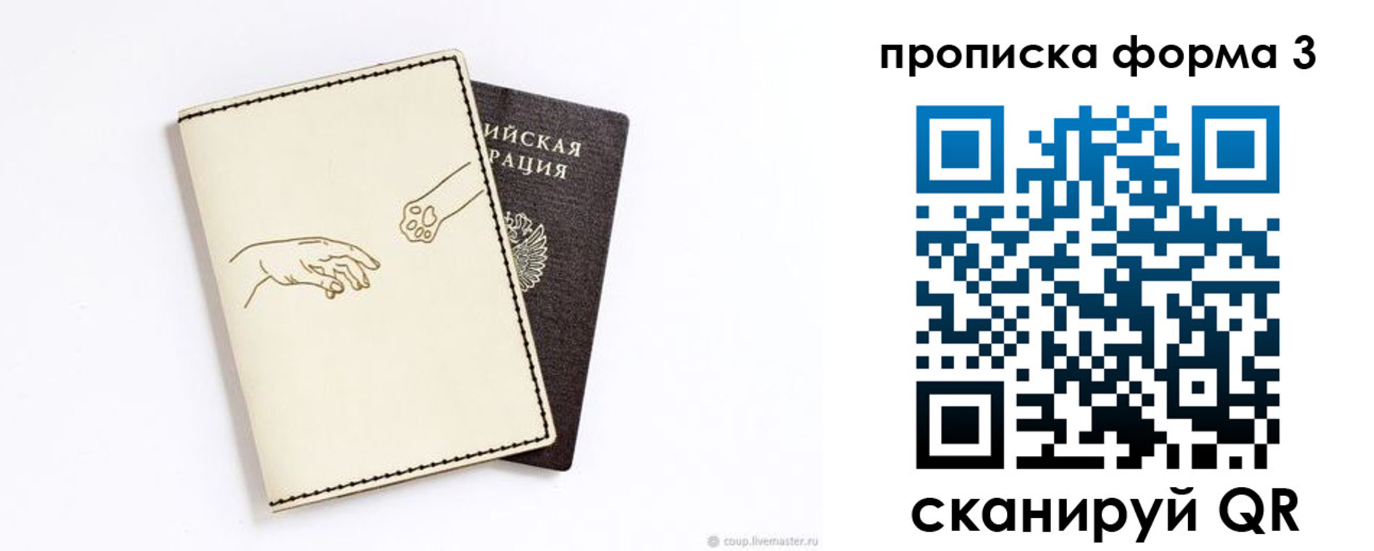 где прописаться в Каргополе